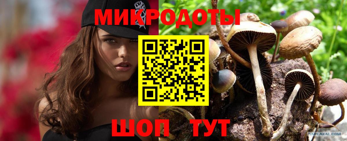 Псилоцибиновые грибы прущие грибы  Вход с VPN  как найти закладки  Пугачёв 