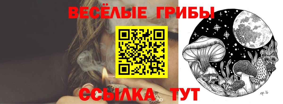 Галлюциногенные грибы ЛСД Пугачёв